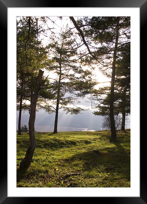 Sunrays bursting through clouds over Cerknica Lake Framed Mounted Print by Ian Middleton