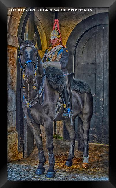 Horse Guard on duty  Framed Print by Gilbert Hurree