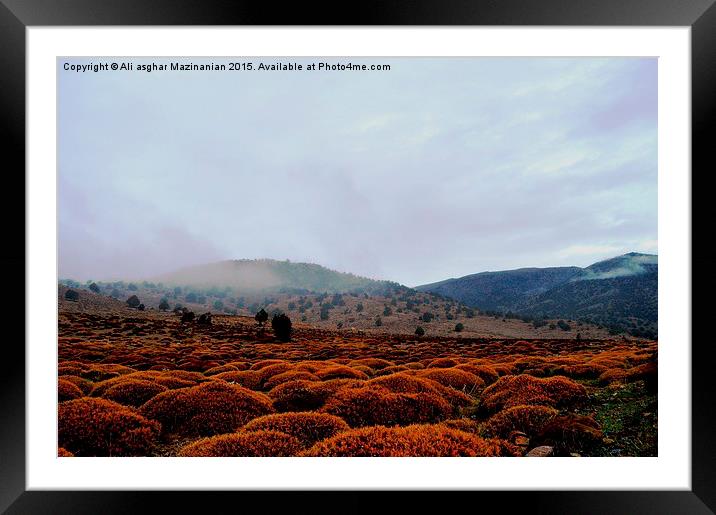 Misty & cloudy morning view in jungle 2 Framed Mounted Print by Ali asghar Mazinanian