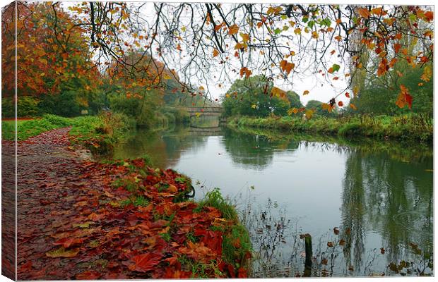  ITCHEN NAVIGATION Canvas Print by Anthony Kellaway