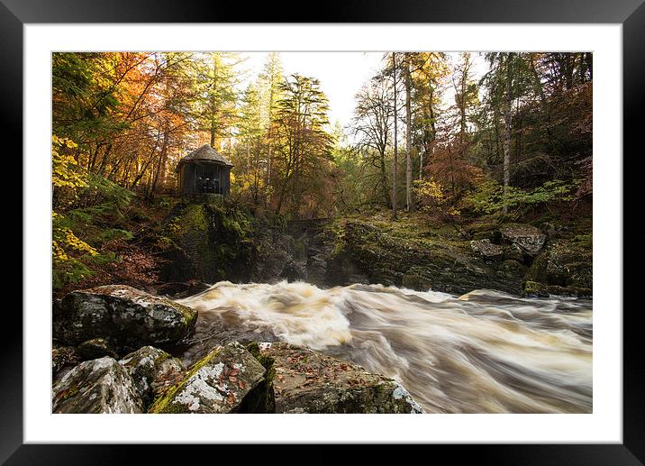  Autumnal Beauty at The Hermitage, Perthshire Framed Mounted Print by Ian Potter