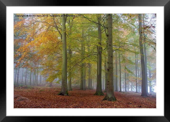  Colours of autumn Framed Mounted Print by steven stain