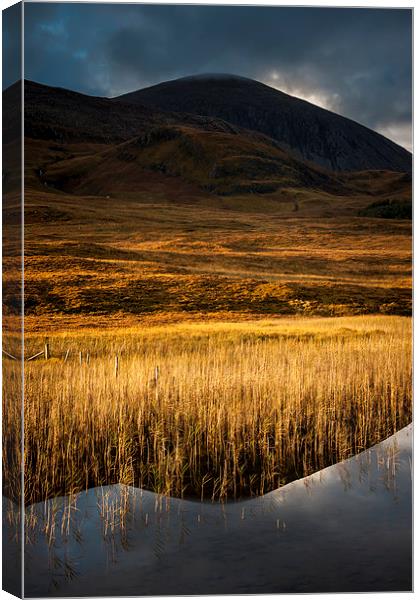  Golden reeds, Loch Cill Chriosd, Skye Canvas Print by Andrew Kearton