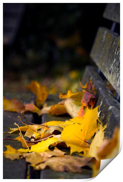  Autumn Leaves Print by Svetlana Sewell