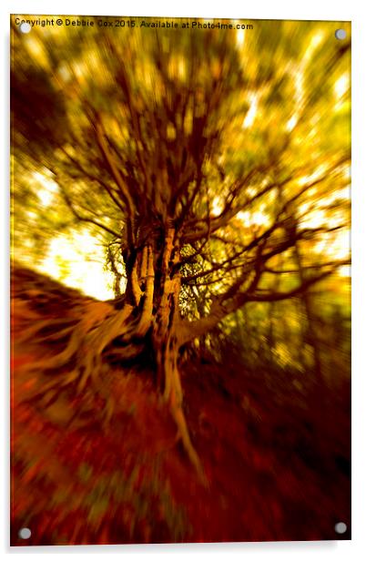 Gnarled tree  Acrylic by Debbie Cox