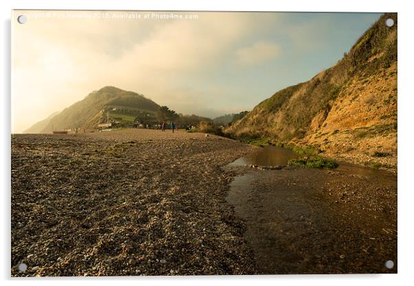  Branscombe Beach Vista  Acrylic by Rob Hawkins