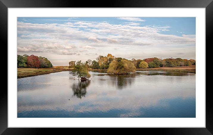  Autumn in Richmond Park London Framed Mounted Print by Colin Evans