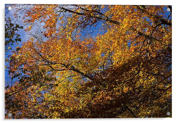  Autumn Leaves Acrylic by LIZ Alderdice