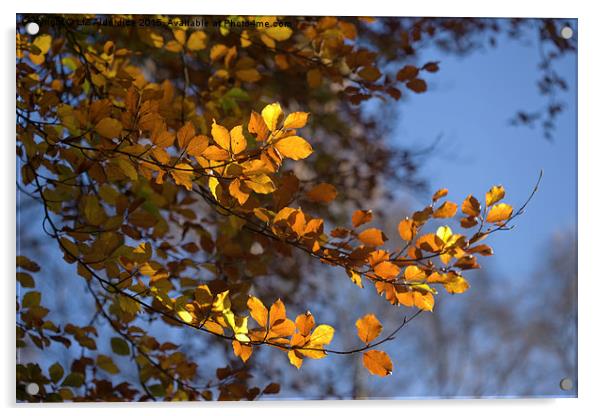 Autumn Days  Acrylic by LIZ Alderdice