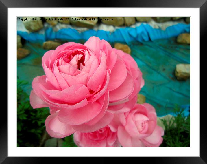 A macro shot of a  nice flower , Framed Mounted Print by Ali asghar Mazinanian