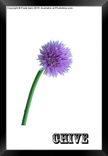A Pretty Chive Framed Print by Frank Irwin