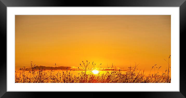  Allonby Sunset Framed Mounted Print by martin davenport