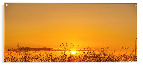  Allonby Sunset Acrylic by martin davenport