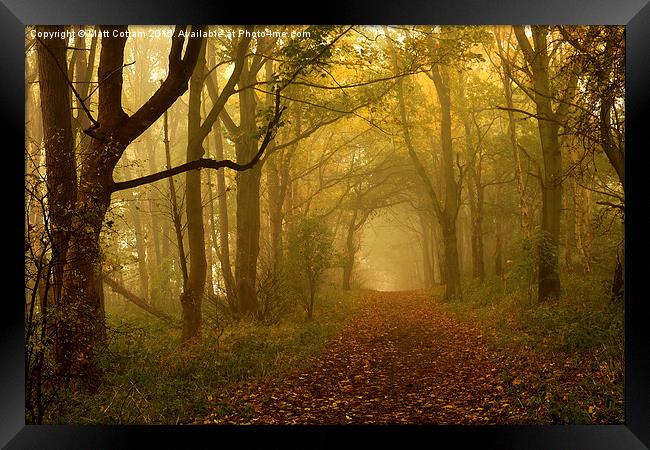  Misty Autumn Woods Framed Print by Matt Cottam