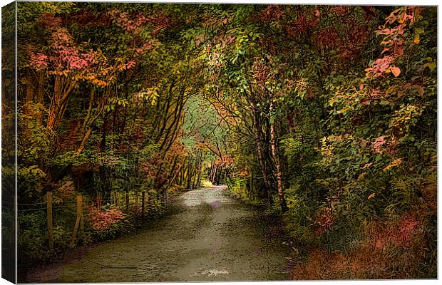  The Clough Canvas Print by Irene Burdell