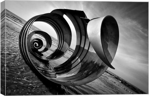 Mary's Shell Angled Black and White Canvas Print by Gary Kenyon
