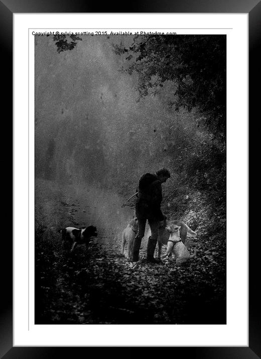  Me and my dogs Framed Mounted Print by sylvia scotting