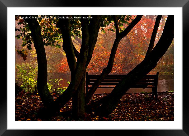  Bench in the Park Framed Mounted Print by Martyn Arnold