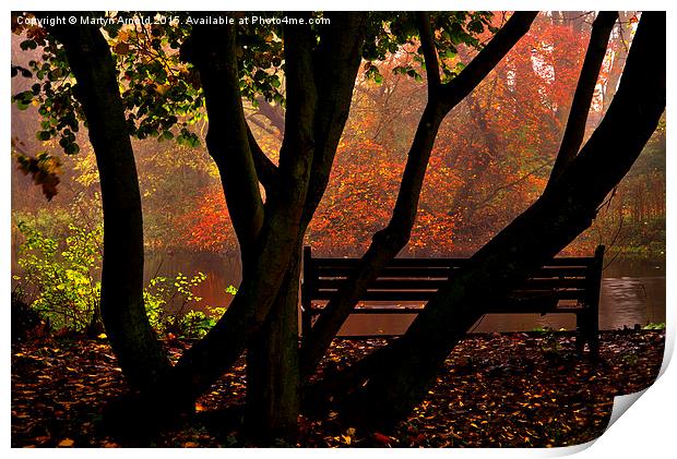  Bench in the Park Print by Martyn Arnold