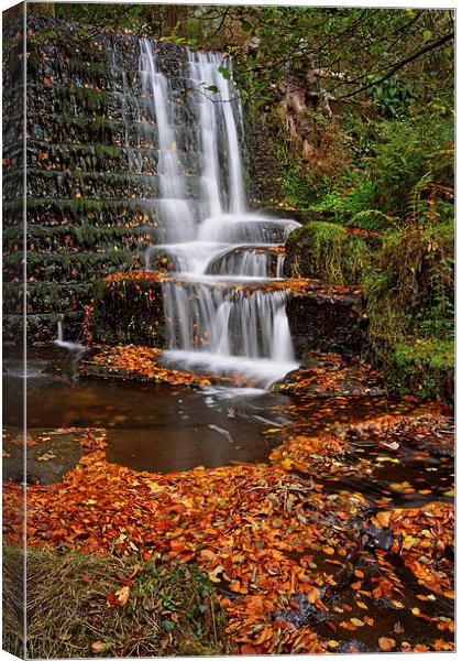 Lumsdale Autumn Leaves and Falls  Canvas Print by Darren Galpin