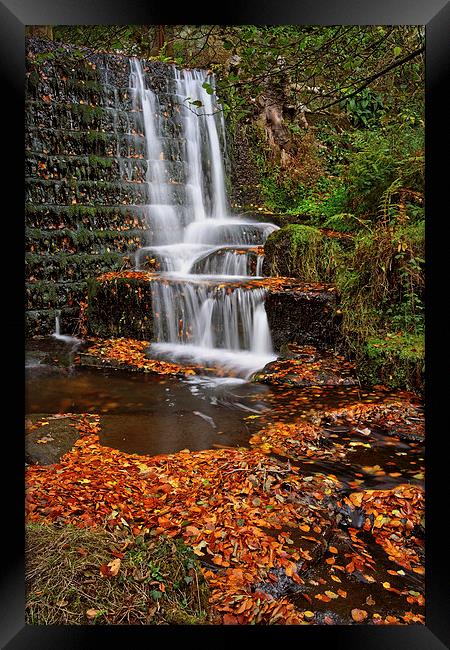 Lumsdale Autumn Leaves and Falls  Framed Print by Darren Galpin