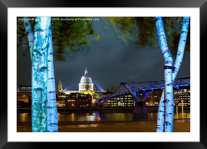  St Paul's through the trees Framed Mounted Print by Ian Danbury