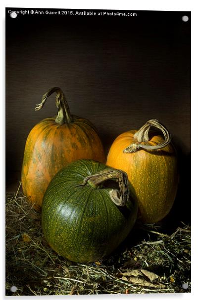 Three Pumpkins Acrylic by Ann Garrett