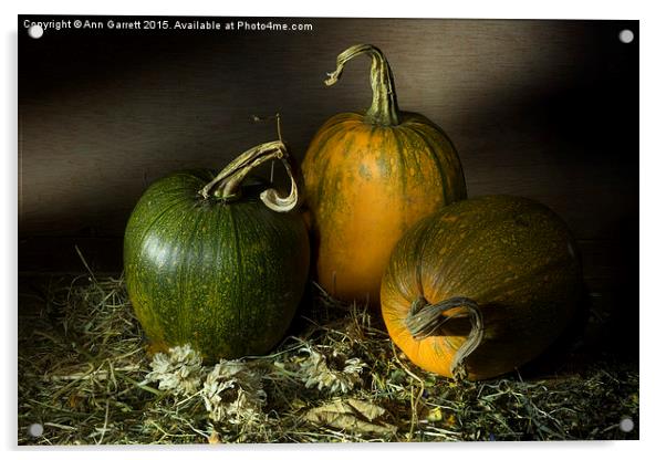 Three Pumpkins and Dried Daisies Acrylic by Ann Garrett