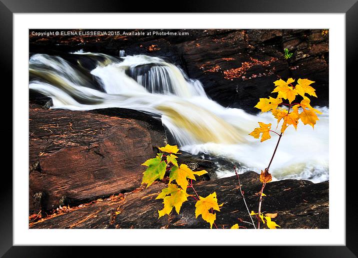 Forest river in the fall Framed Mounted Print by ELENA ELISSEEVA