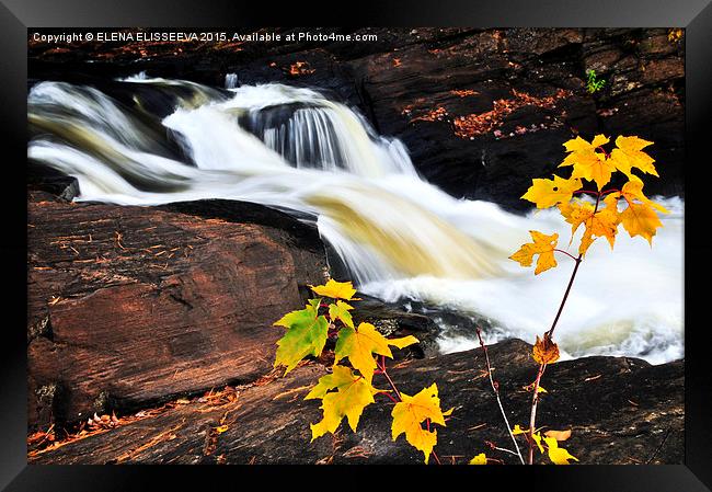 Forest river in the fall Framed Print by ELENA ELISSEEVA