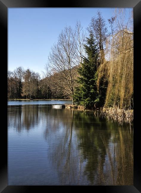 Boat On Lake  Framed Print by Mike Gorton