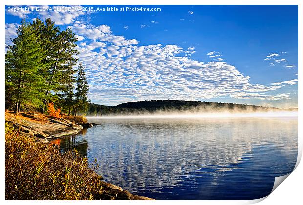 Autumn lake shore with fog Print by ELENA ELISSEEVA