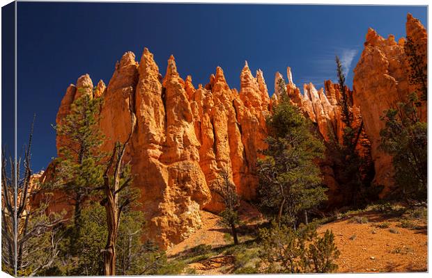 Navajo Loop & Queens Garden Trail Canvas Print by Thomas Schaeffer