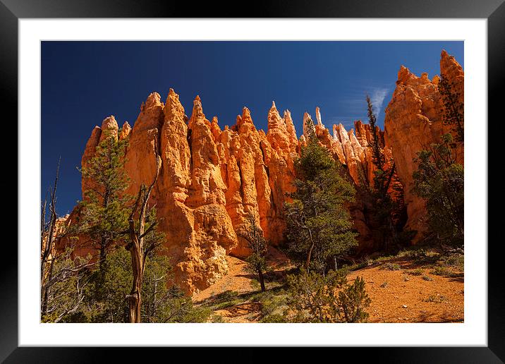 Navajo Loop & Queens Garden Trail Framed Mounted Print by Thomas Schaeffer