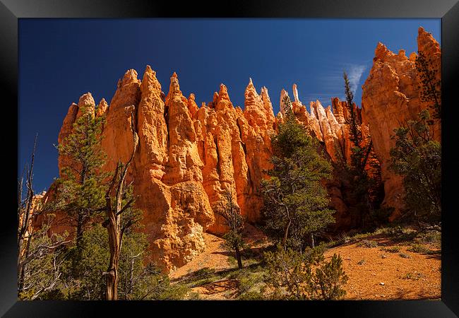 Navajo Loop & Queens Garden Trail Framed Print by Thomas Schaeffer