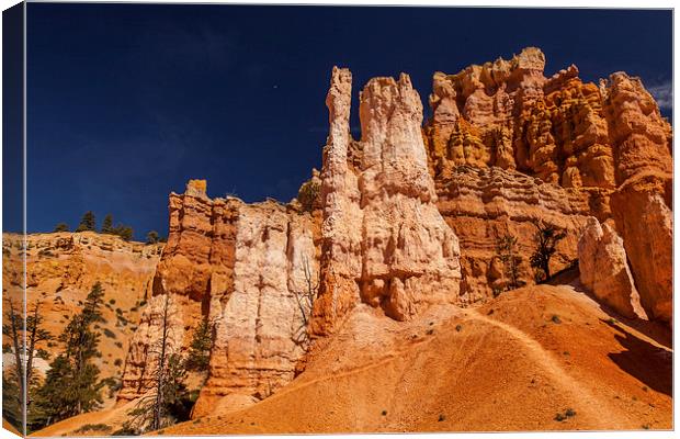 Navajo Loop & Queens Garden Trail Canvas Print by Thomas Schaeffer