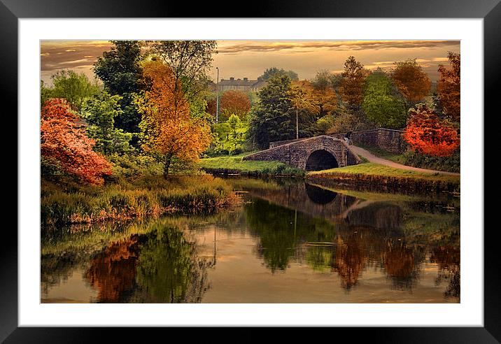  Autumn along the canal. Framed Mounted Print by Irene Burdell