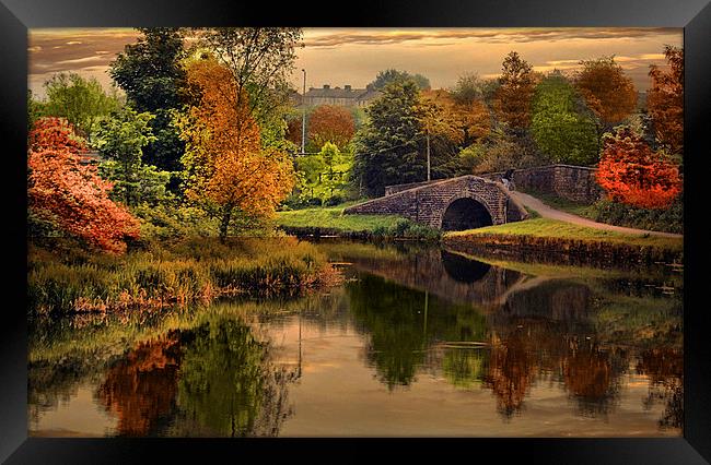  Autumn along the canal. Framed Print by Irene Burdell