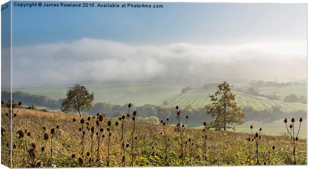  Foggy View from Holly Hill Canvas Print by James Rowland