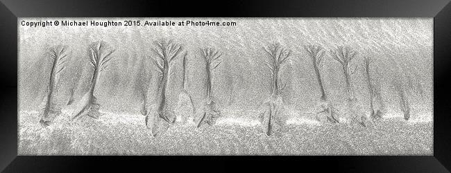  Beach Trees Framed Print by Michael Houghton