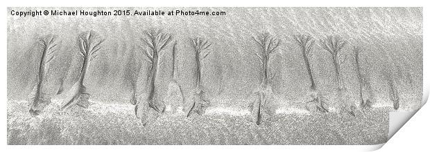  Beach Trees Print by Michael Houghton