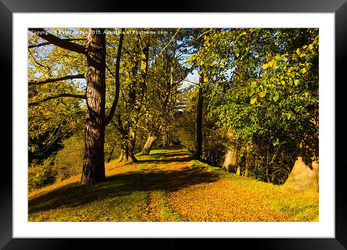  Autumn footpath English Country Park Framed Mounted Print by Peter Jordan