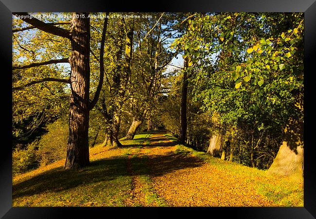  Autumn footpath English Country Park Framed Print by Peter Jordan