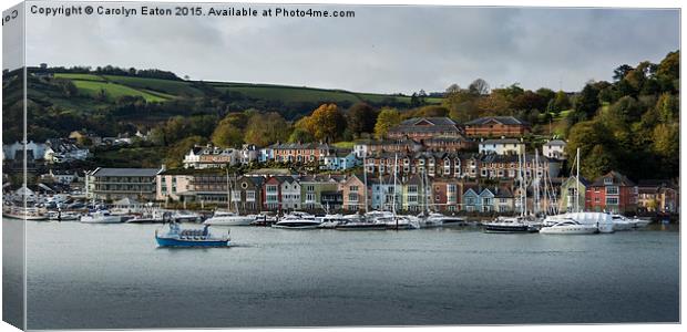  Dart Marina, Dartmouth, Devon Canvas Print by Carolyn Eaton