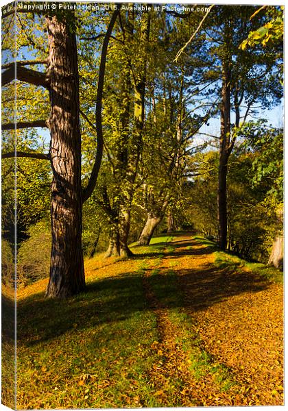  Autumn footpath English Country Park Canvas Print by Peter Jordan