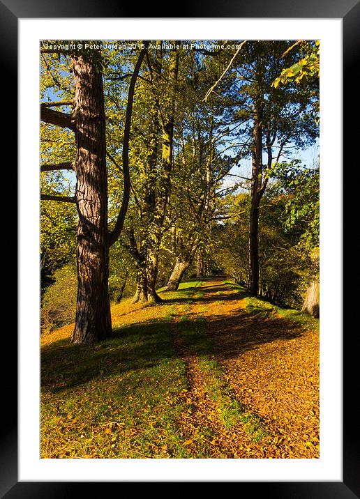  Autumn footpath English Country Park Framed Mounted Print by Peter Jordan
