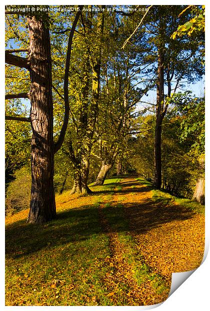  Autumn footpath English Country Park Print by Peter Jordan