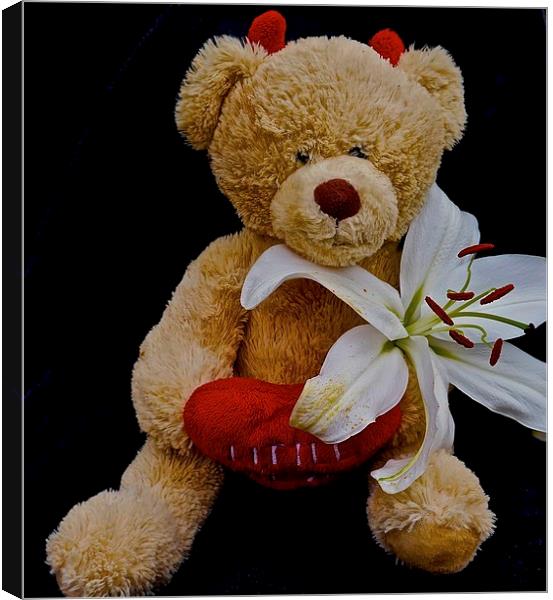  Little Devil Lily Teddy Bear Canvas Print by Sue Bottomley