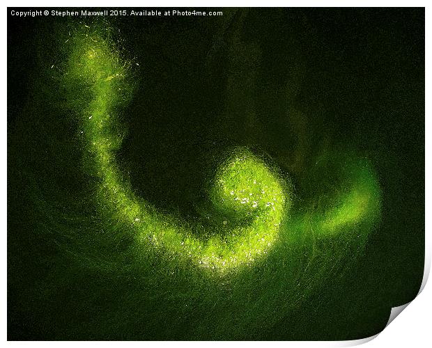 Green Pond Algae Print by Stephen Maxwell