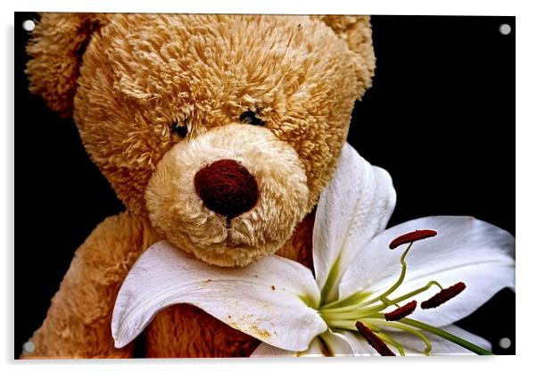 Teddy Bear Cuddles  Acrylic by Sue Bottomley